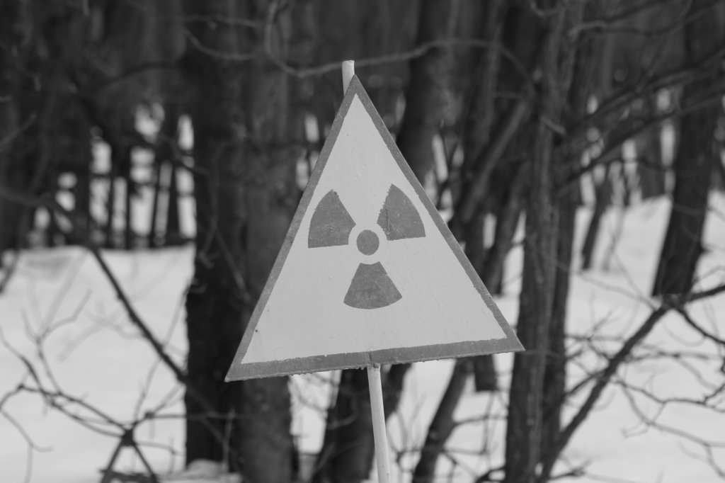 chernobyl201315.jpg