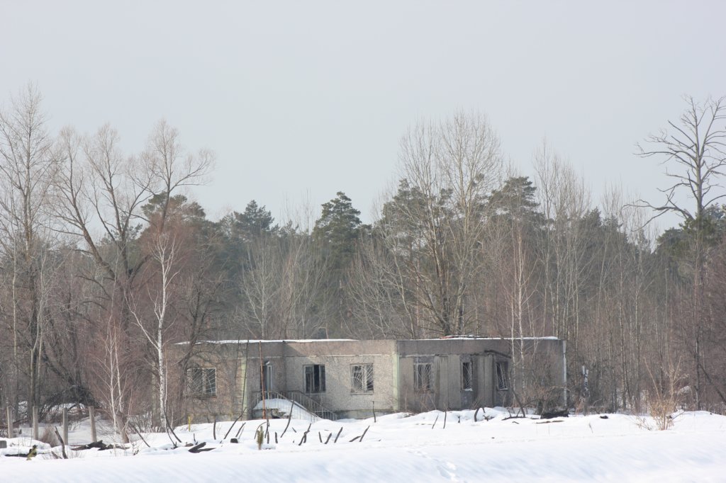 pripyat201310.jpg