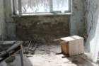 pripyat201393_small.jpg